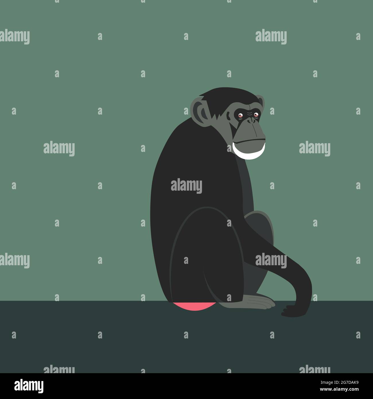 Scimpanzé seduto, un po' triste Foto Stock
