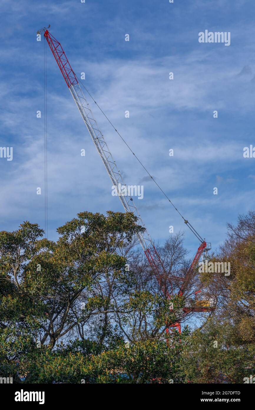 Costruire la gru dietro gli alberi su un progetto di appartamenti a Suburban Sydney NSW Australia Foto Stock