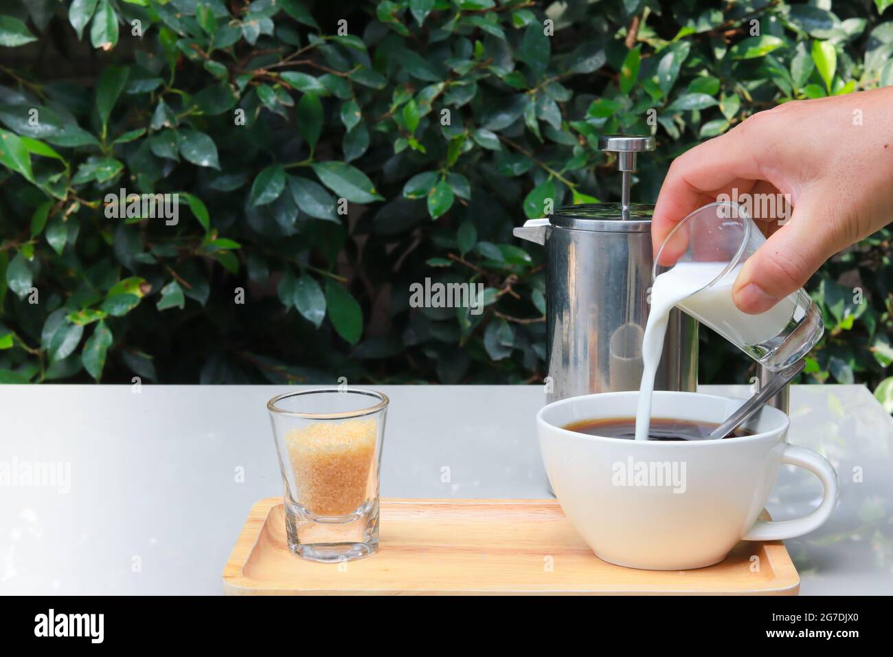 Versare il latte nel caffè. Tavolo in giardino con foglie verdi. Spazio di copia. Foto Stock