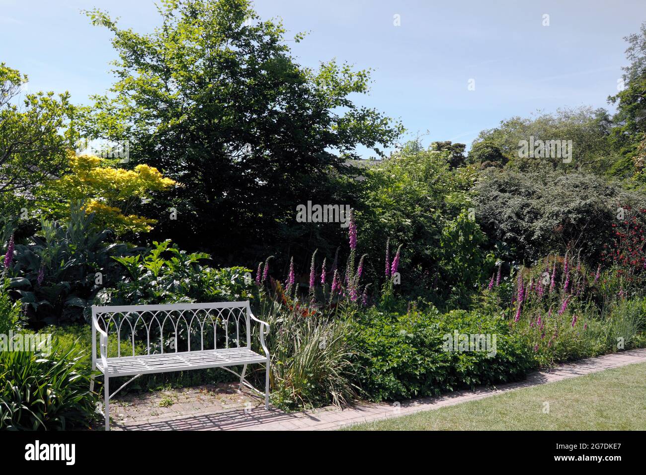 POSTO A SEDERE IN GIARDINO AL CONFINE ESTIVO Foto Stock