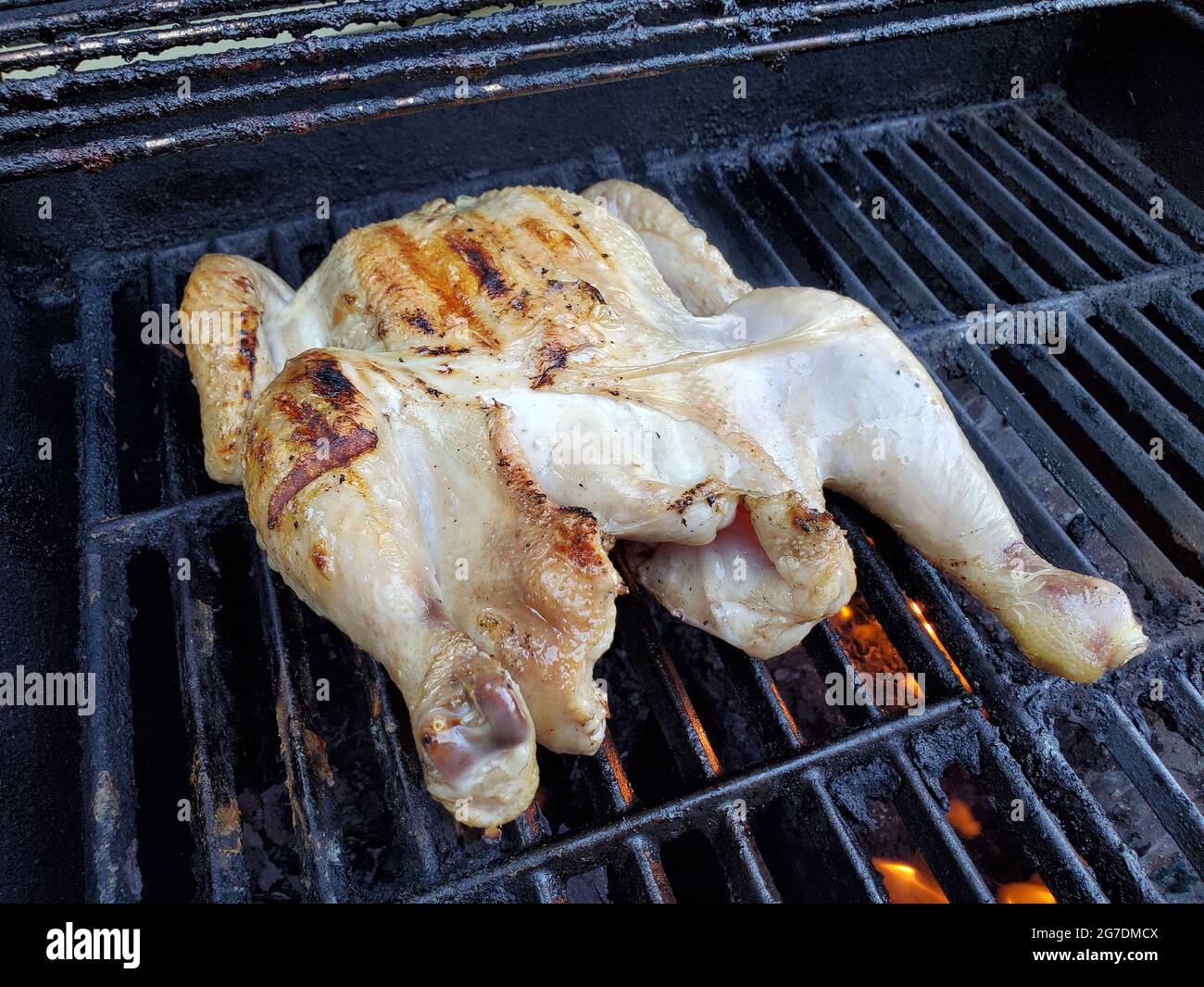 Pollo al telaio spatchoccato dal Roam Butcher's Shop e Cook's Venture, grigliando su un barbecue nel cortile in preparazione del Father's Day, Lafayette, California, 19 giugno 2021. () Foto Stock