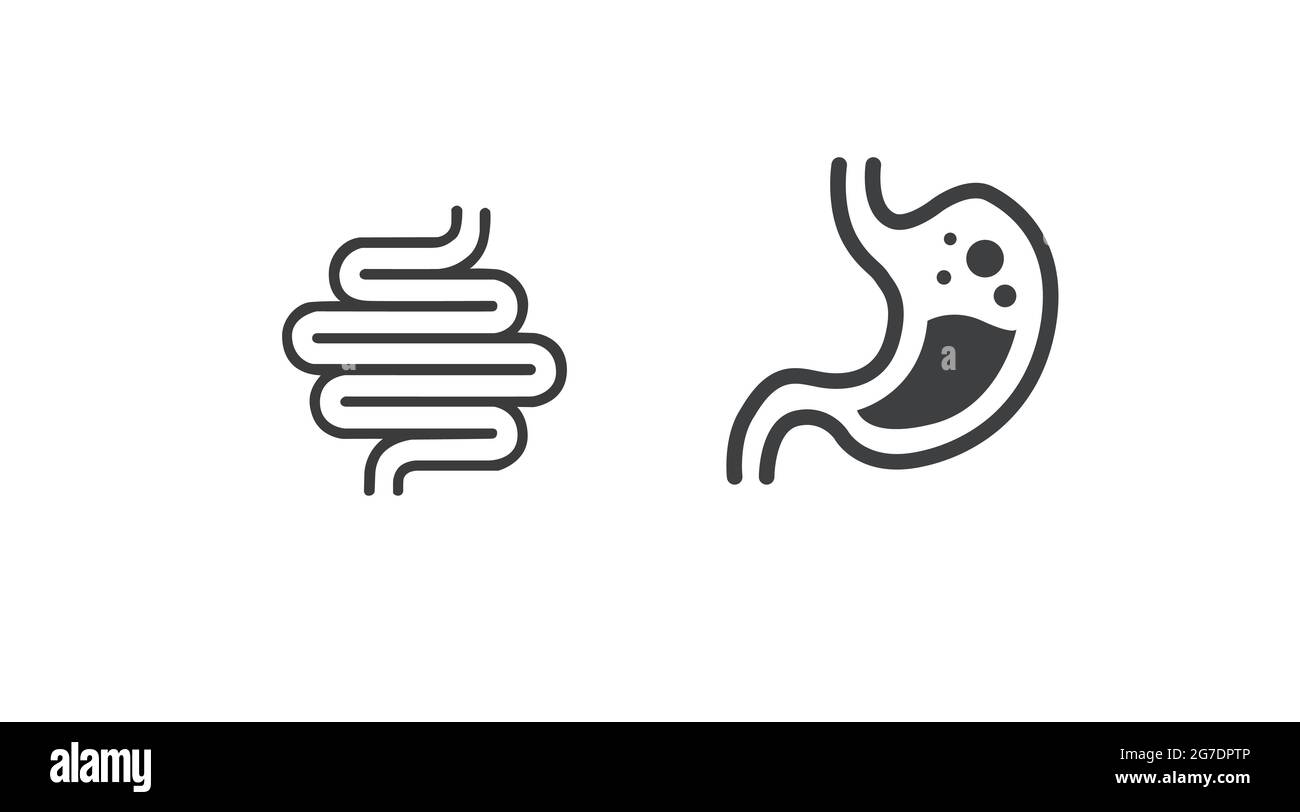 Icona dello stomaco e dell'apparato digerente. Vettore isolato illustrazione modificabile dello stomaco e del sistema digestivo Illustrazione Vettoriale