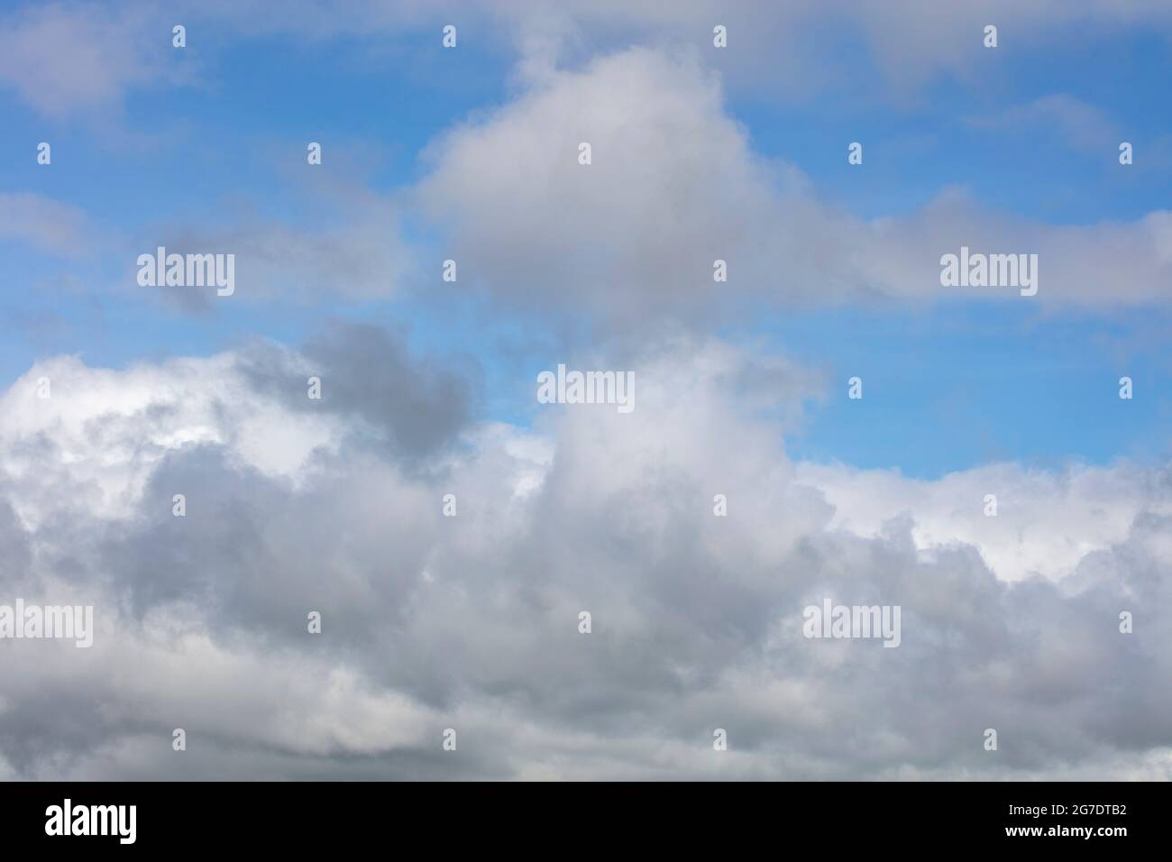Cumulus Nubi, Estate, Midwestern USA, di James D Coppinger/Dembinsky Photo Assoc Foto Stock