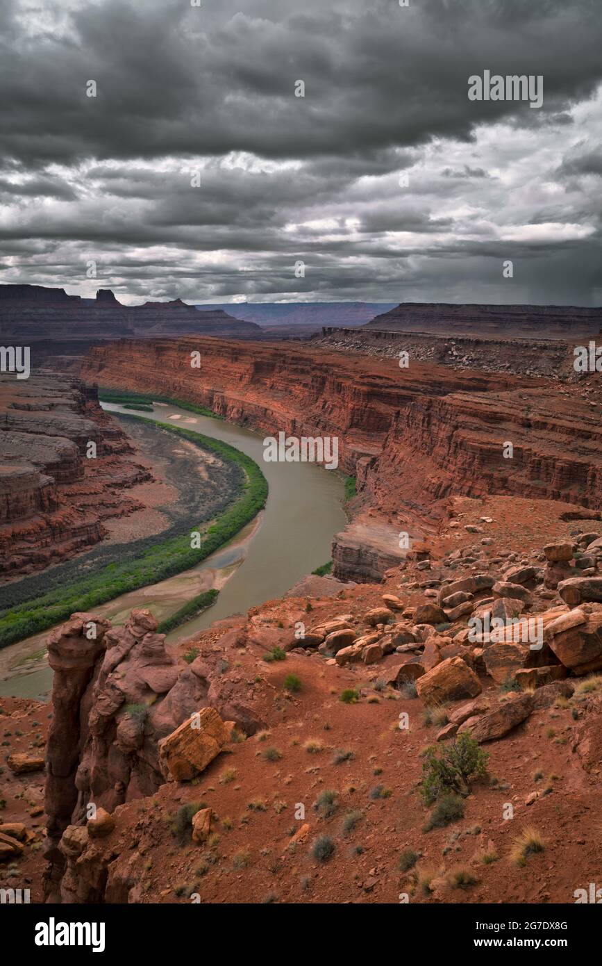 Una breve escursione lungo la remota White Rim Road offre questa incredibile vista del fiume Colorado Gooseneck con pause sole e docce mattutine sullo Utah Foto Stock