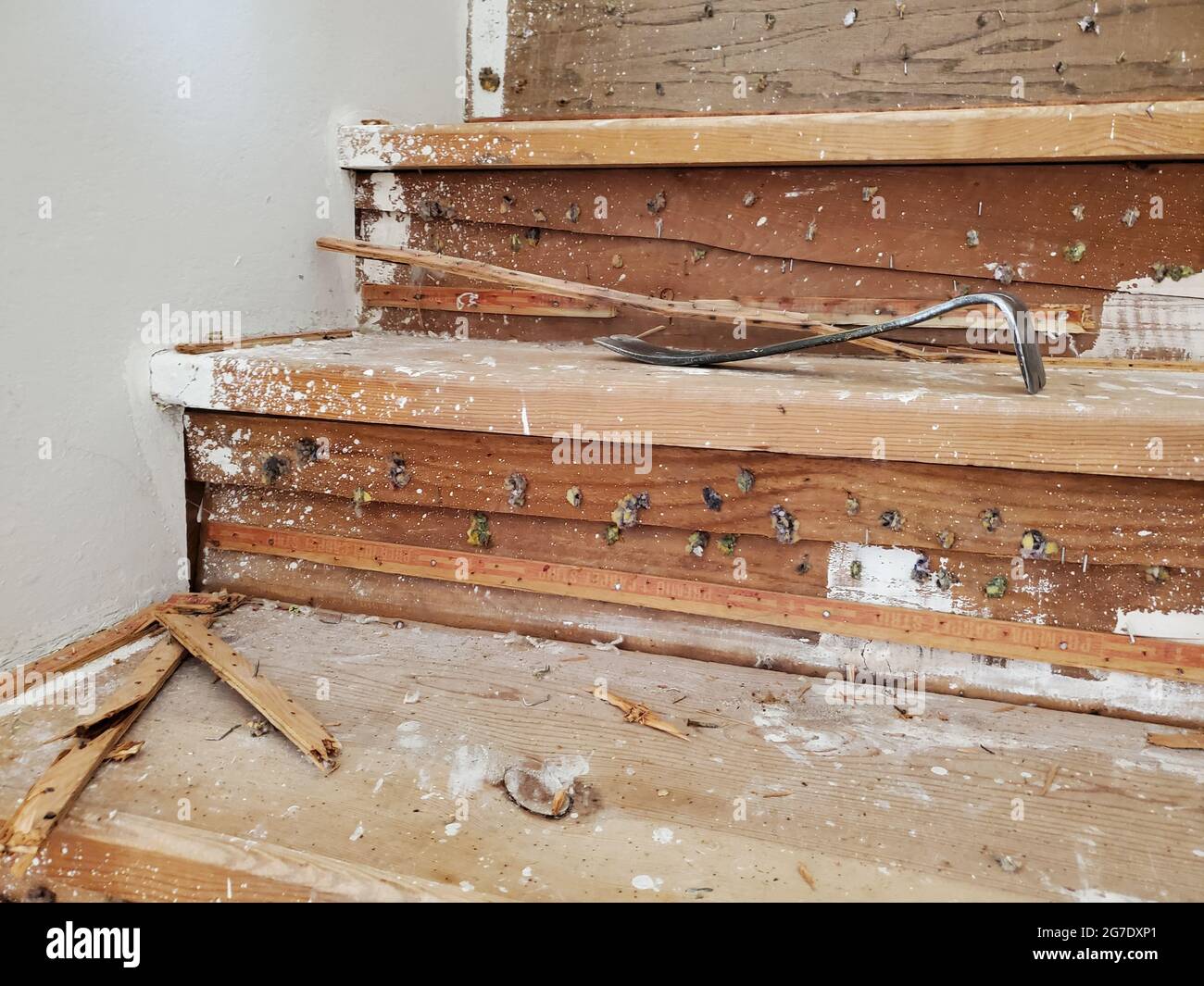 Primo piano della scala con moquette rimossa durante il progetto di ristrutturazione o costruzione, Lafayette, California, 14 giugno 2021. () Foto Stock