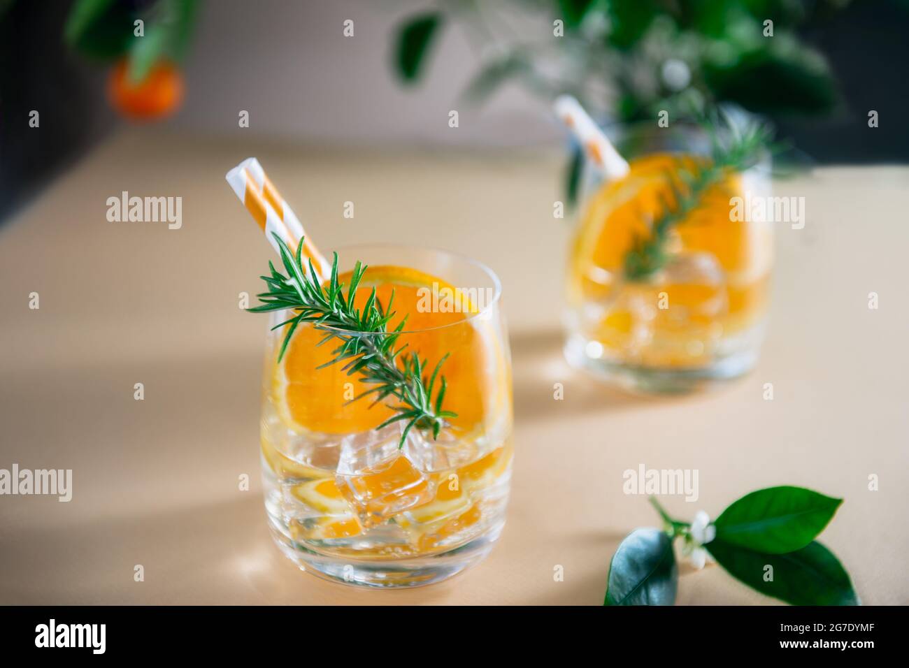 Due rinfrescanti cocktail di frutta con arancio, ghiaccio e rosmarino su una superficie beige neutra con uno sfondo di agrumi. Bevande estive da bar. Selettivo Foto Stock