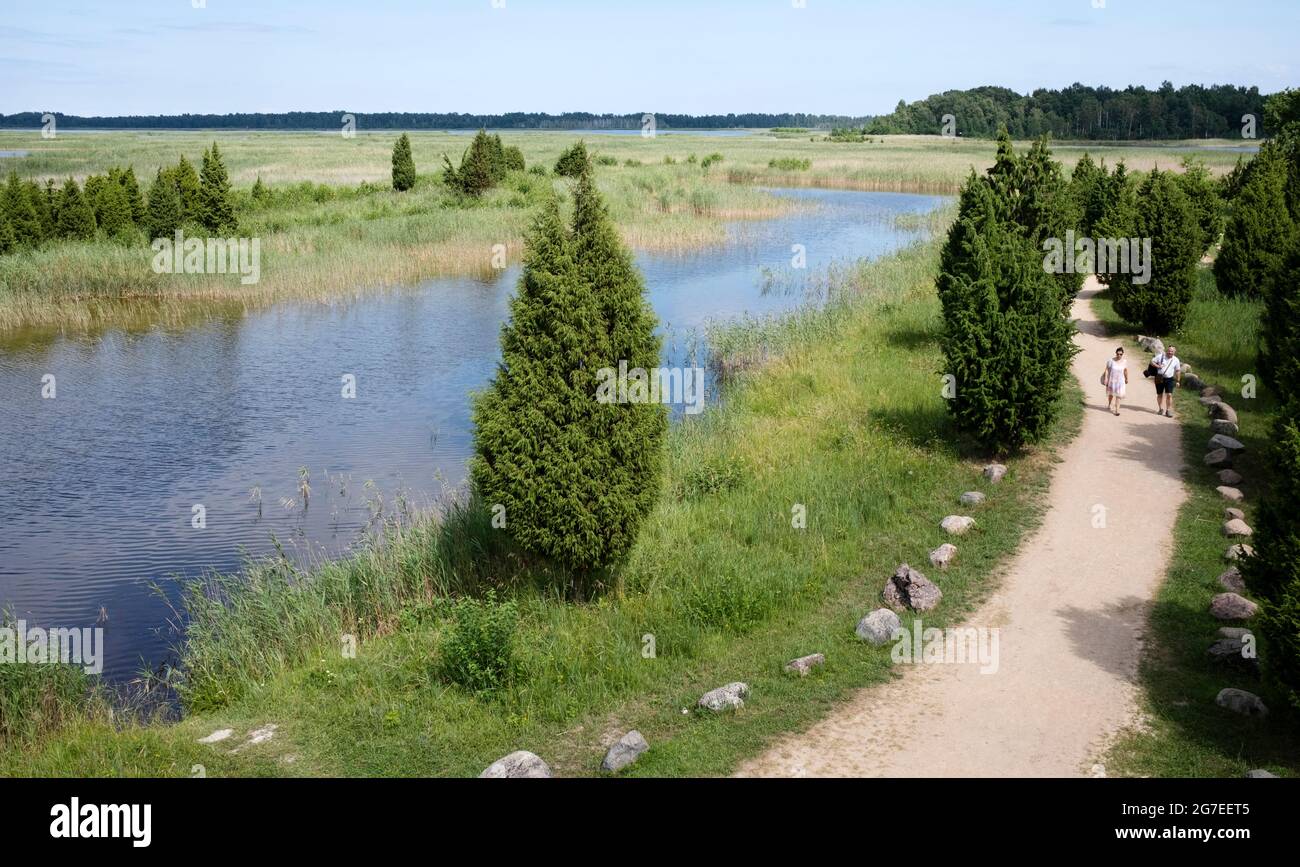 Lago Kaņieris, vista dalla torre di osservazione degli uccelli, due persone che camminano lungo la strada verso la torre, parrocchia di Lapmežciems, regione Engure, Lettonia Foto Stock
