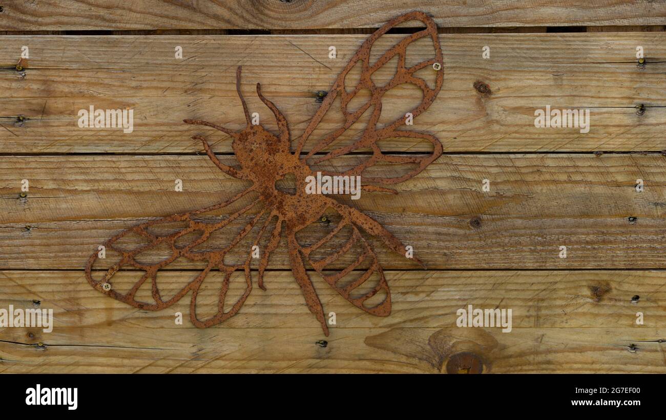 Ape di metallo arrugginito su uno sfondo di legno Foto Stock