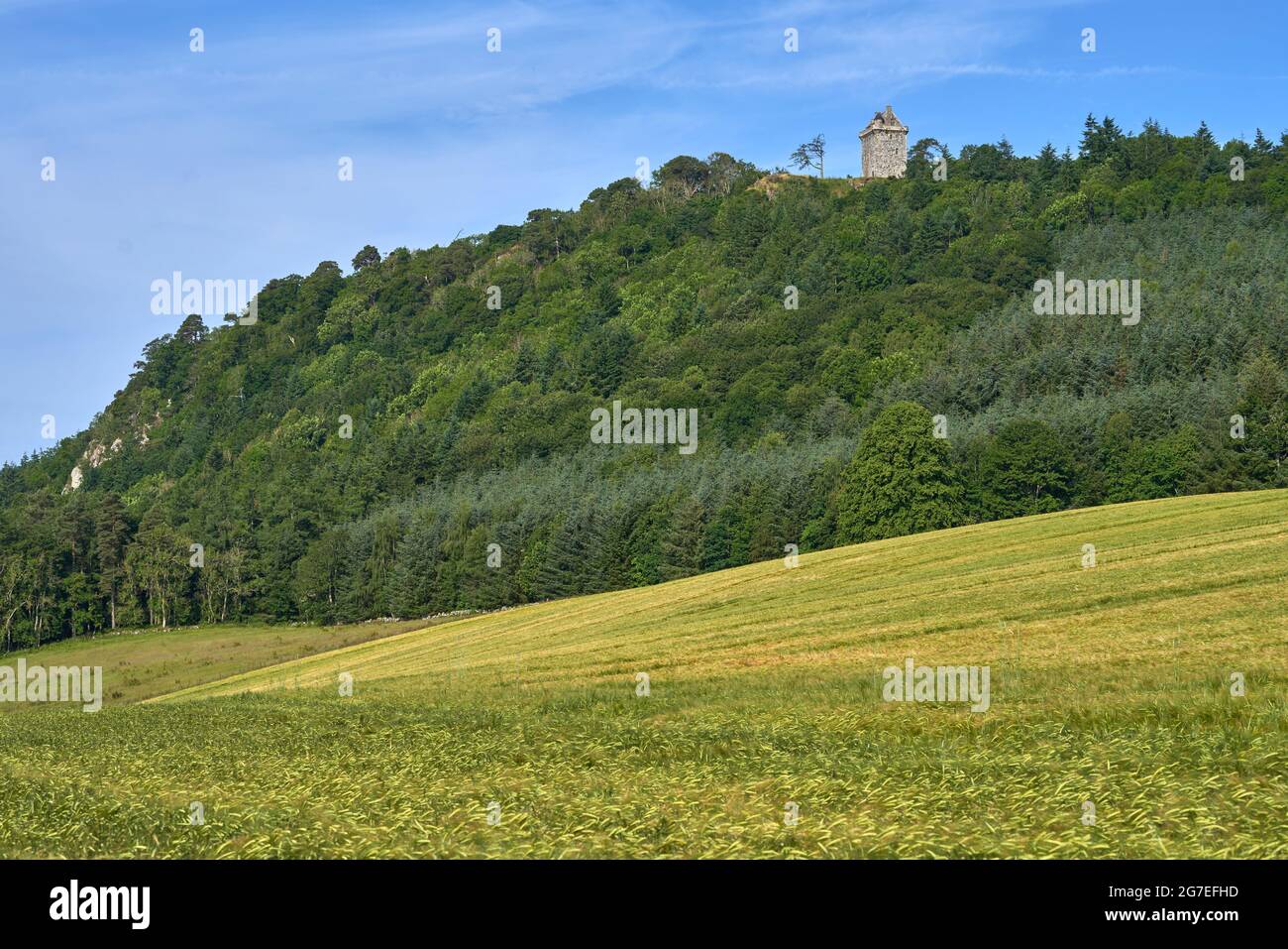 Fatlips Castle, un'icona dei confini scozzesi arroccata sulla cima di Minto Crags che si affaccia su Teviotdale, passando per Denholm e Bedrule, sulla famosa collina di Ruberswaw. Foto Stock