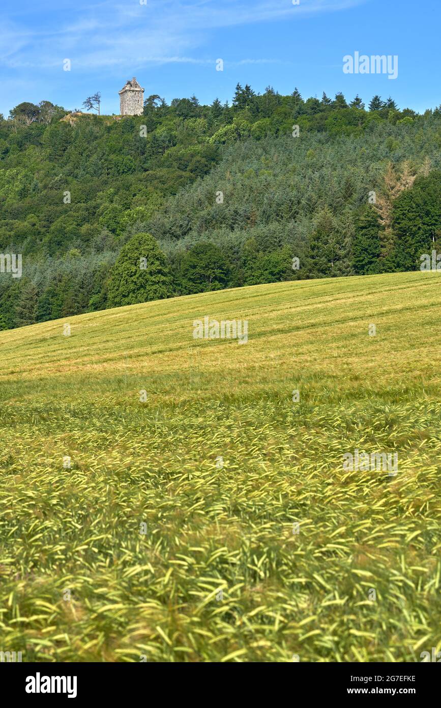 Fatlips Castle, un'icona dei confini scozzesi arroccata sulla cima di Minto Crags che si affaccia su Teviotdale, passando per Denholm e Bedrule, sulla famosa collina di Ruberswaw. Foto Stock