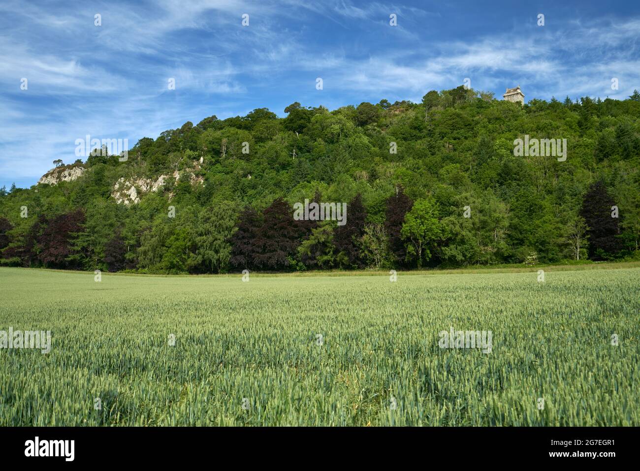 Fatlips Castle, un'icona dei confini scozzesi arroccata sulla cima di Minto Crags che si affaccia su Teviotdale, passando per Denholm e Bedrule, sulla famosa collina di Ruberswaw. Foto Stock