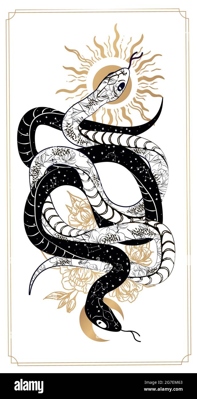 Carte di tarocchi di serpente magico. Astrologia esoterica occulta magica.  Boho chic tatuaggio, poster, arazzi o altare velato disegno di stampa  vettoriale illustrazione Immagine e Vettoriale - Alamy