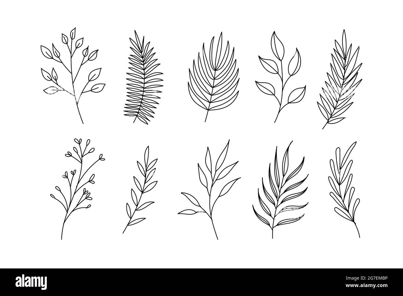 Raccolta di illustrazioni vettoriali di foglie nei disegni a mano. Illustrazione Vettoriale