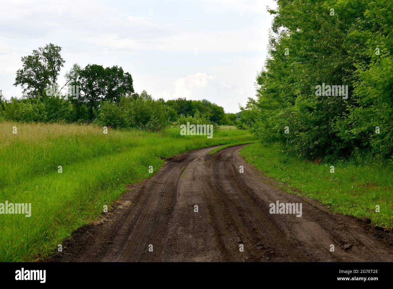 La strada sterrata in estate in Russia Foto Stock