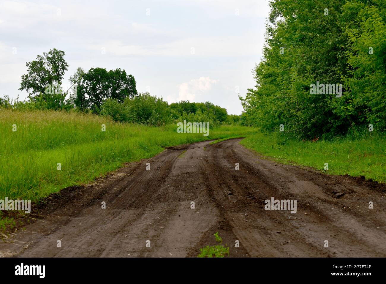 La strada sterrata in estate in Russia Foto Stock