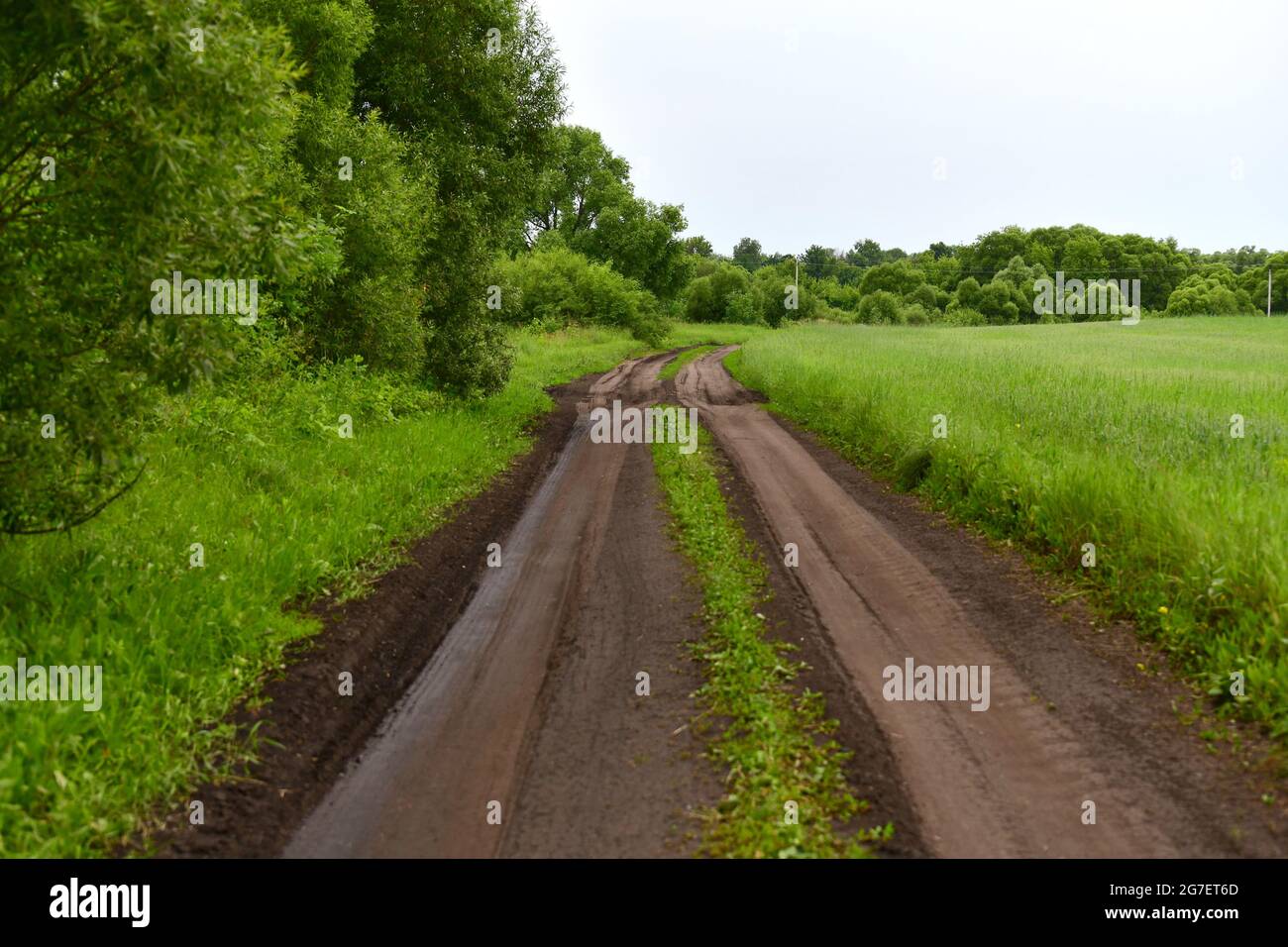 La strada sterrata in estate in Russia Foto Stock