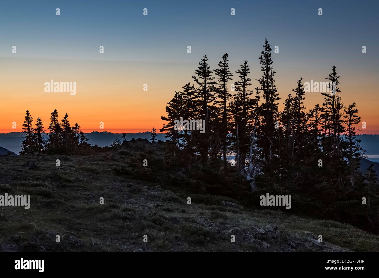 Alba al Passo Marmot nella natura selvaggia di Buckhorn, la foresta nazionale olimpica, le montagne olimpiche, lo stato di Washington, Stati Uniti Foto Stock