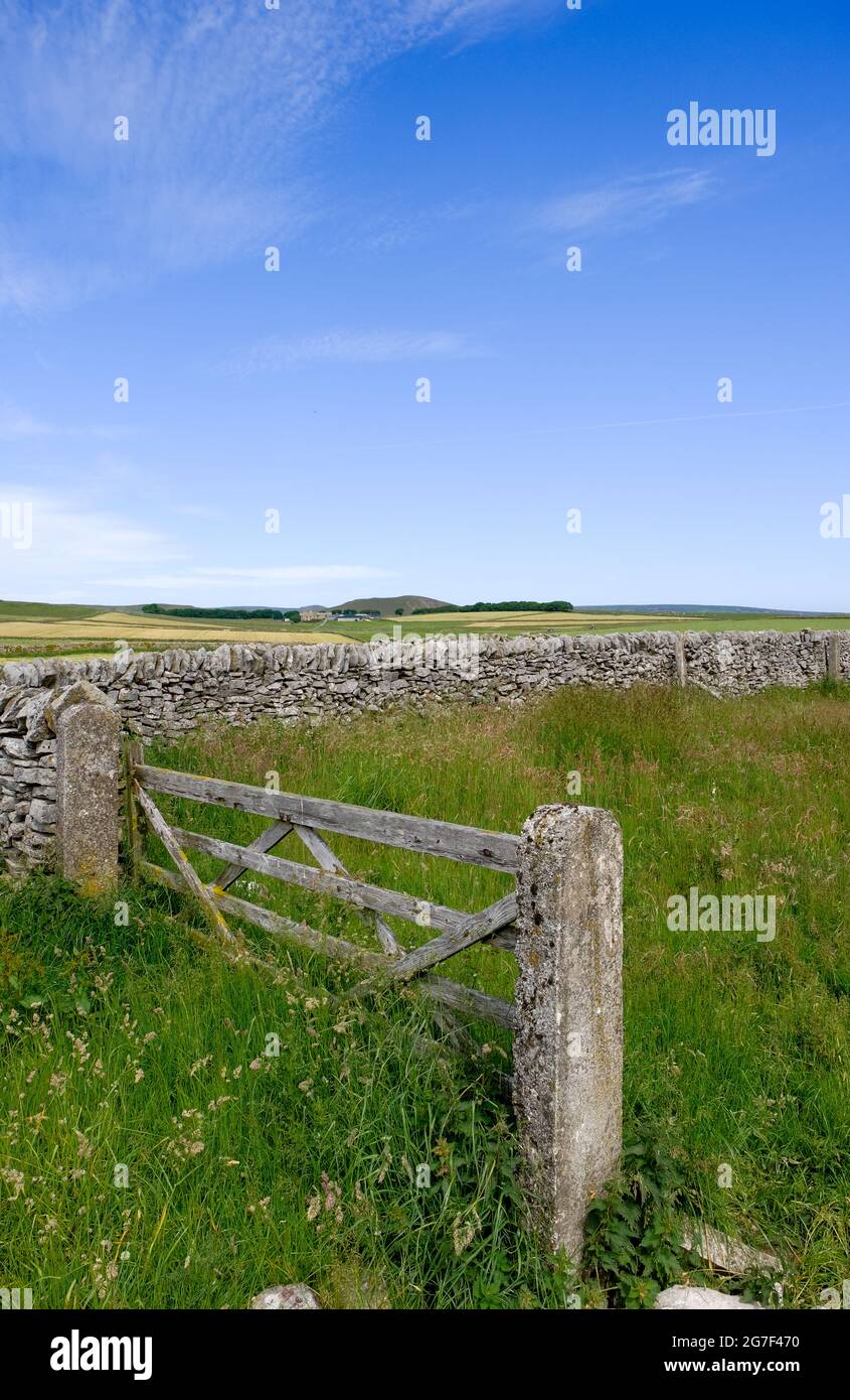 Un cancello di legno solitario si trova in un campo sopravivolto delimitato da muratura a secco. La faccia rocciosa di MAM Tor, Derbyshire è sullo sfondo. Foto Stock Un cancello di legno solitario si trova in un campo sopravivolto delimitato da muratura a secco. La faccia rocciosa di MAM Tor, Derbyshire è sullo sfondo. Foto Stock