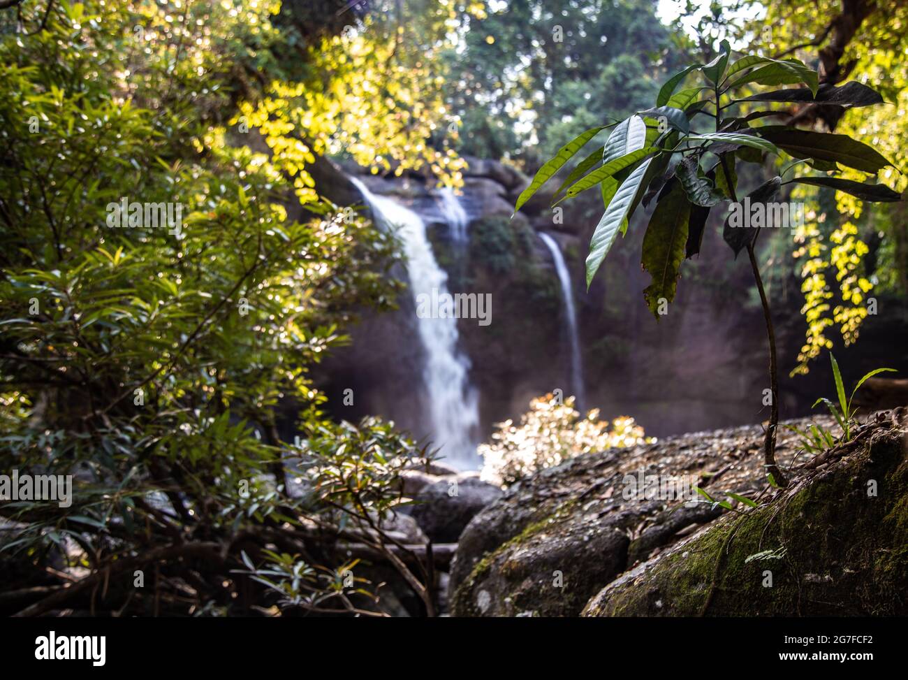 Cascata di Haew Suwat nel Parco Nazionale di Khao Yai a Nakhon Ratchasima, Thailandia Foto Stock