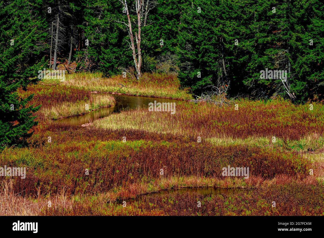 Gita sulla West Virginia Road Foto Stock