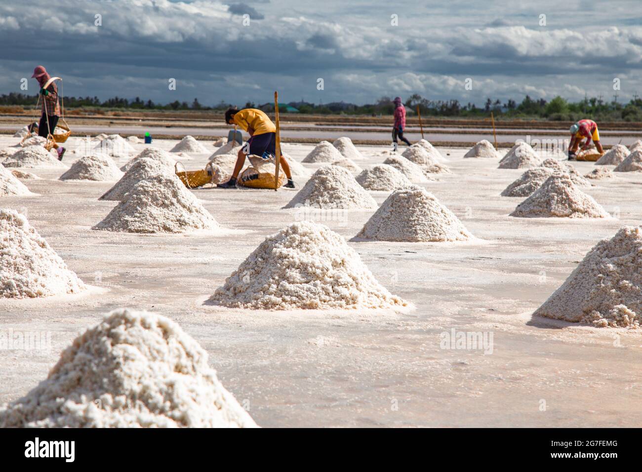 Phetchaburi sale appartamenti Naklua, aziende agricole e agricoltori raccolta di sale a Phetchaburi, Thailandia Foto Stock