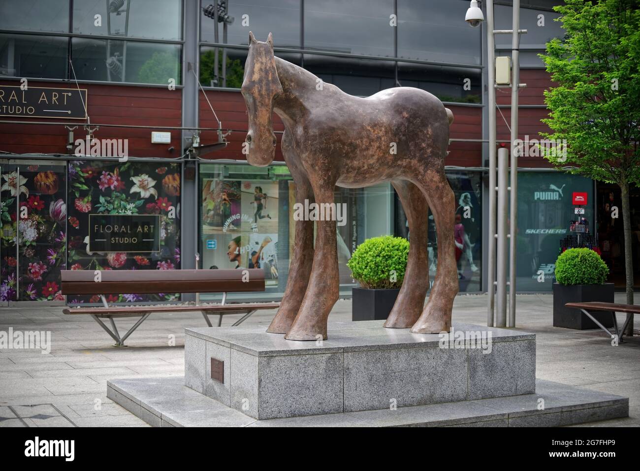 GREYSTONES, IRLANDA - 07 giu 2021: 'Emer', la statua a forma di cavallo dello scultore irlandese Anthony Scott, situata nel centro commerciale Meridian Point Foto Stock