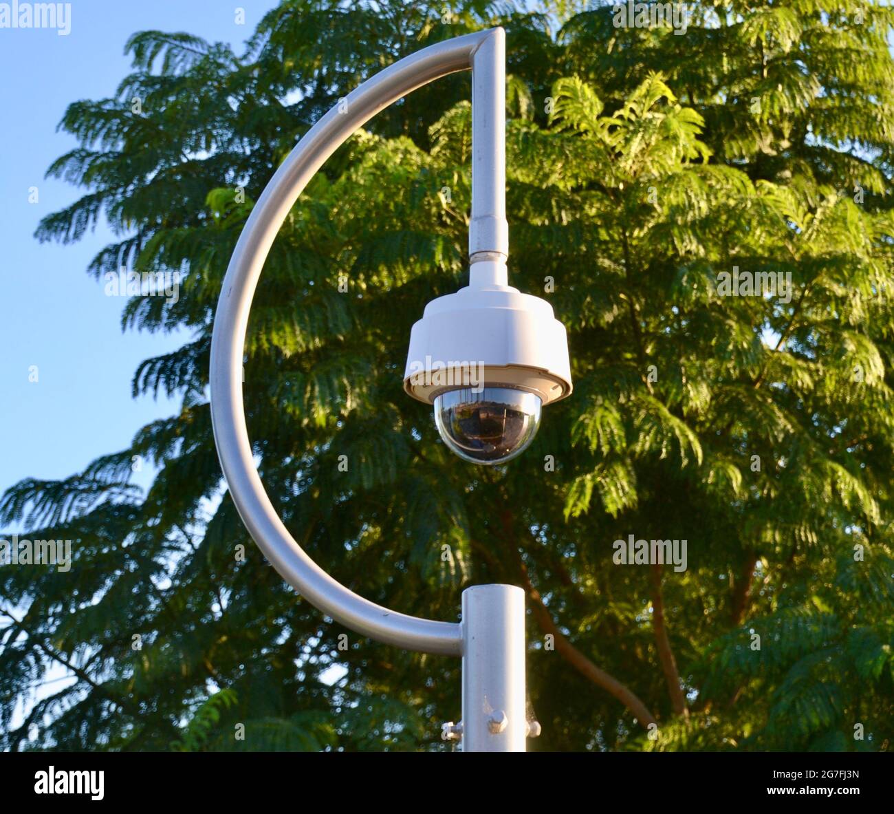 Telecamera di sicurezza CCTV di ordine pubblico su un palo all'esterno con un albero sullo sfondo Foto Stock