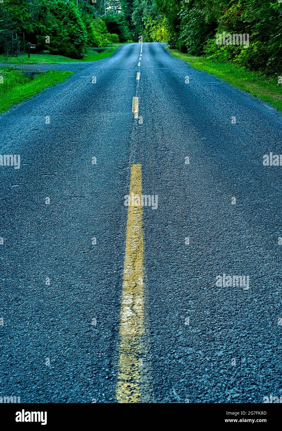 Immagine verticale di un'autostrada a due corsie nella zona rurale della British Columbia Canada. Foto Stock