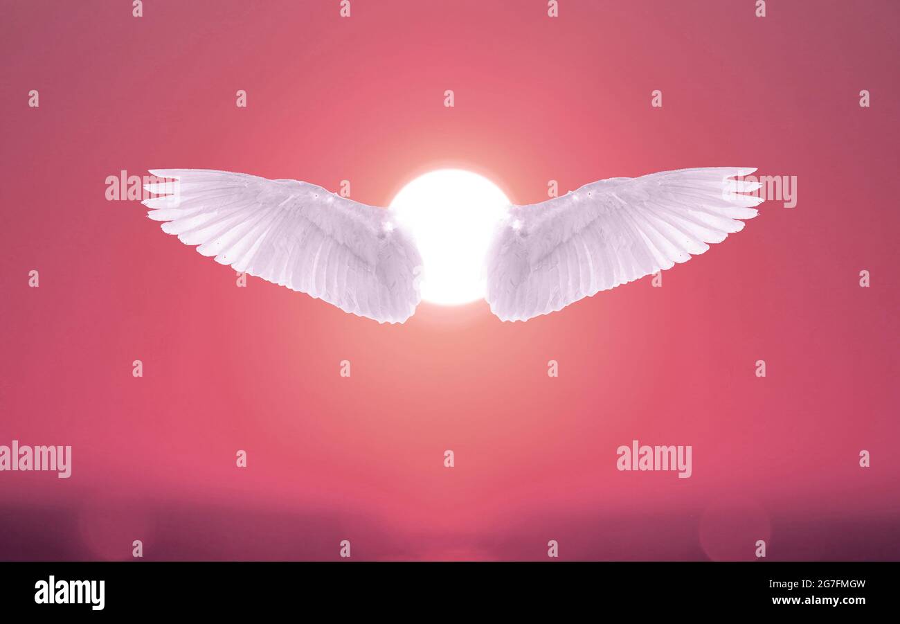 Angel Wings bianco di fronte al sole con Sunset Sky Color. Angelis Wings, concetto spirituale Foto Stock