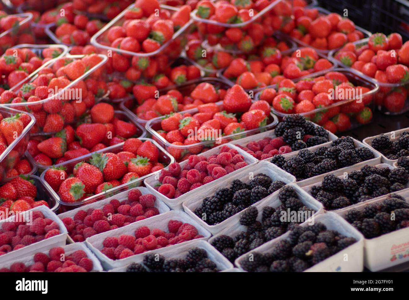Shot di prodotti freschi in un mercato Foto Stock