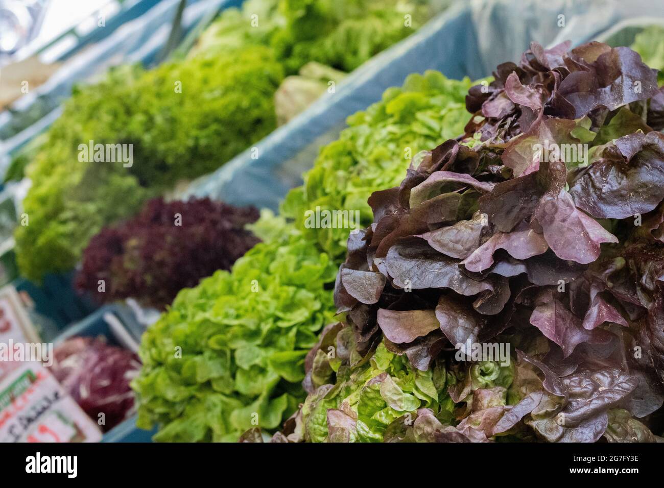 Shot di prodotti freschi in un mercato Foto Stock