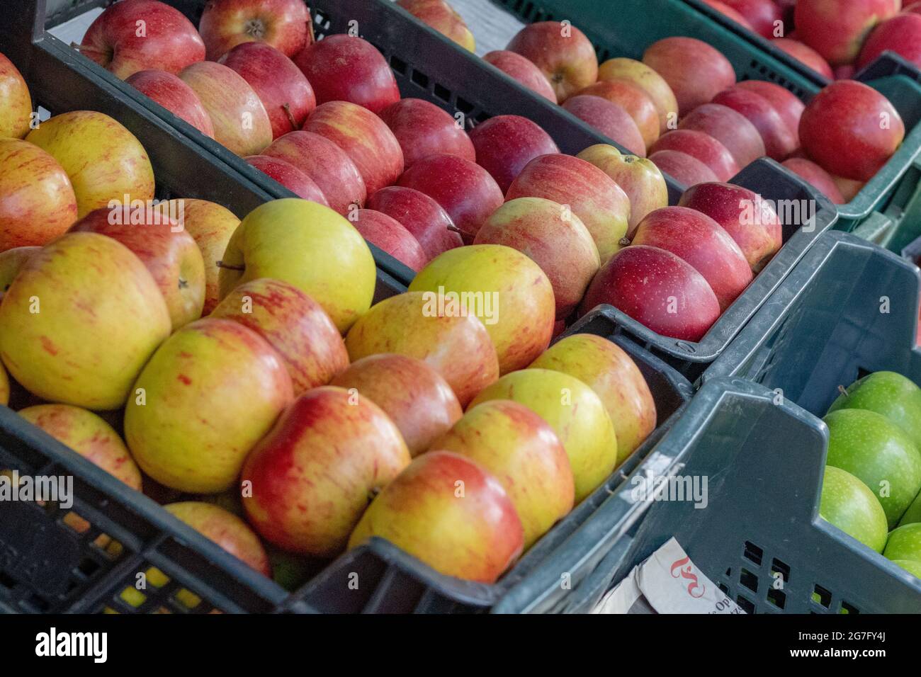 Shot di prodotti freschi in un mercato Foto Stock
