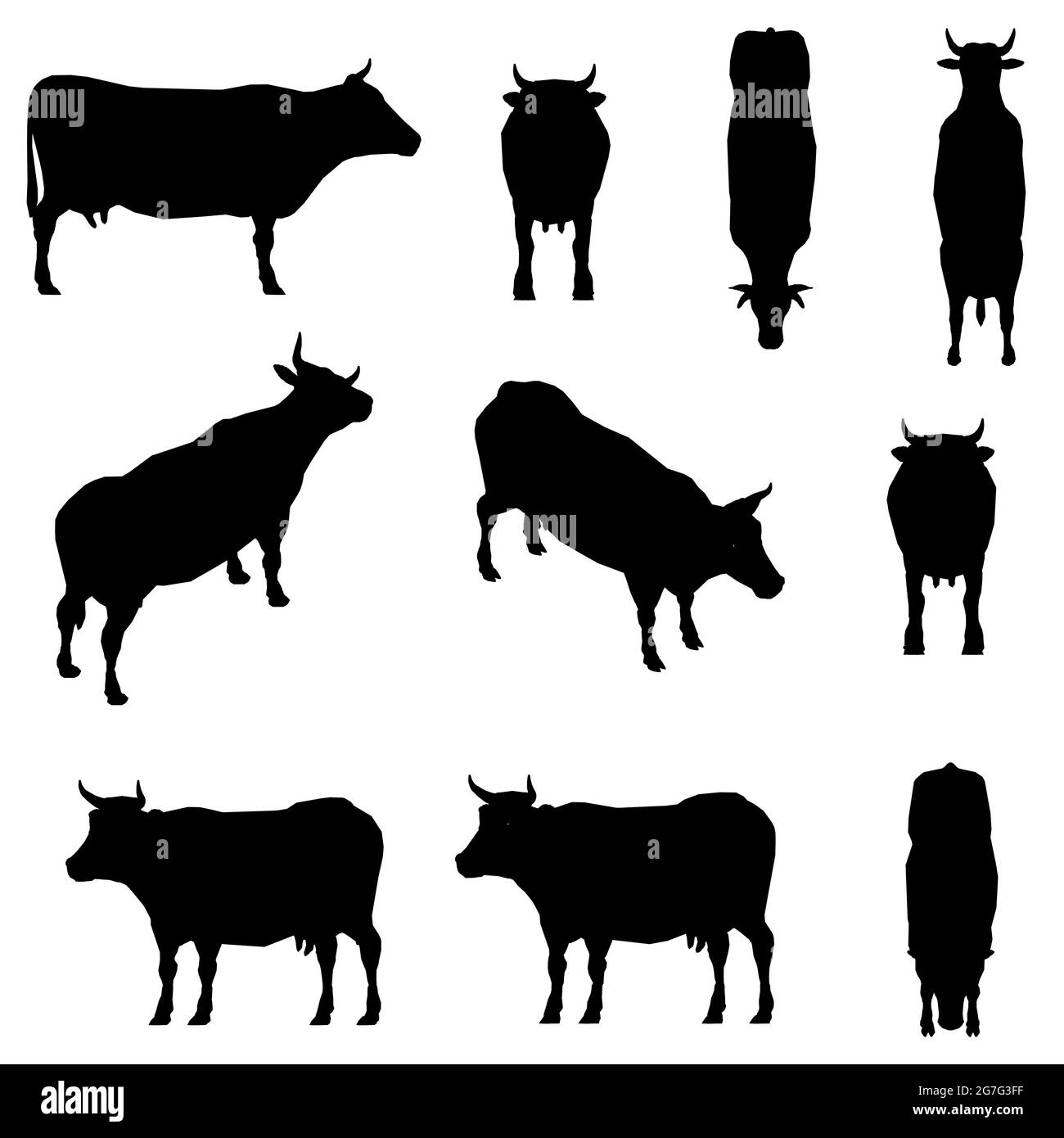 Set con sagome di una mucca in diverse posizioni isolate su uno sfondo bianco. Illustrazione vettoriale. Illustrazione Vettoriale