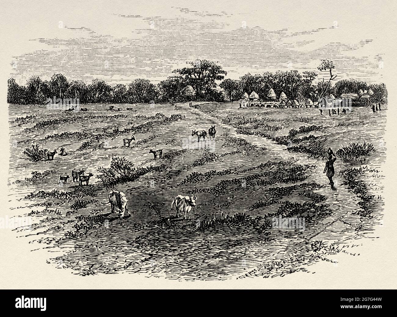 Kagehyi, un villaggio di Uchambi da Speke Gulf, Victoria Nyanza. Tanzania, Africa centrale. Viaggia verso l'Africa inesplorata, il misterioso continente di Henry Morton Stanley. Antica illustrazione incisa del XIX secolo, El Mundo Ilustrado 1880 Foto Stock