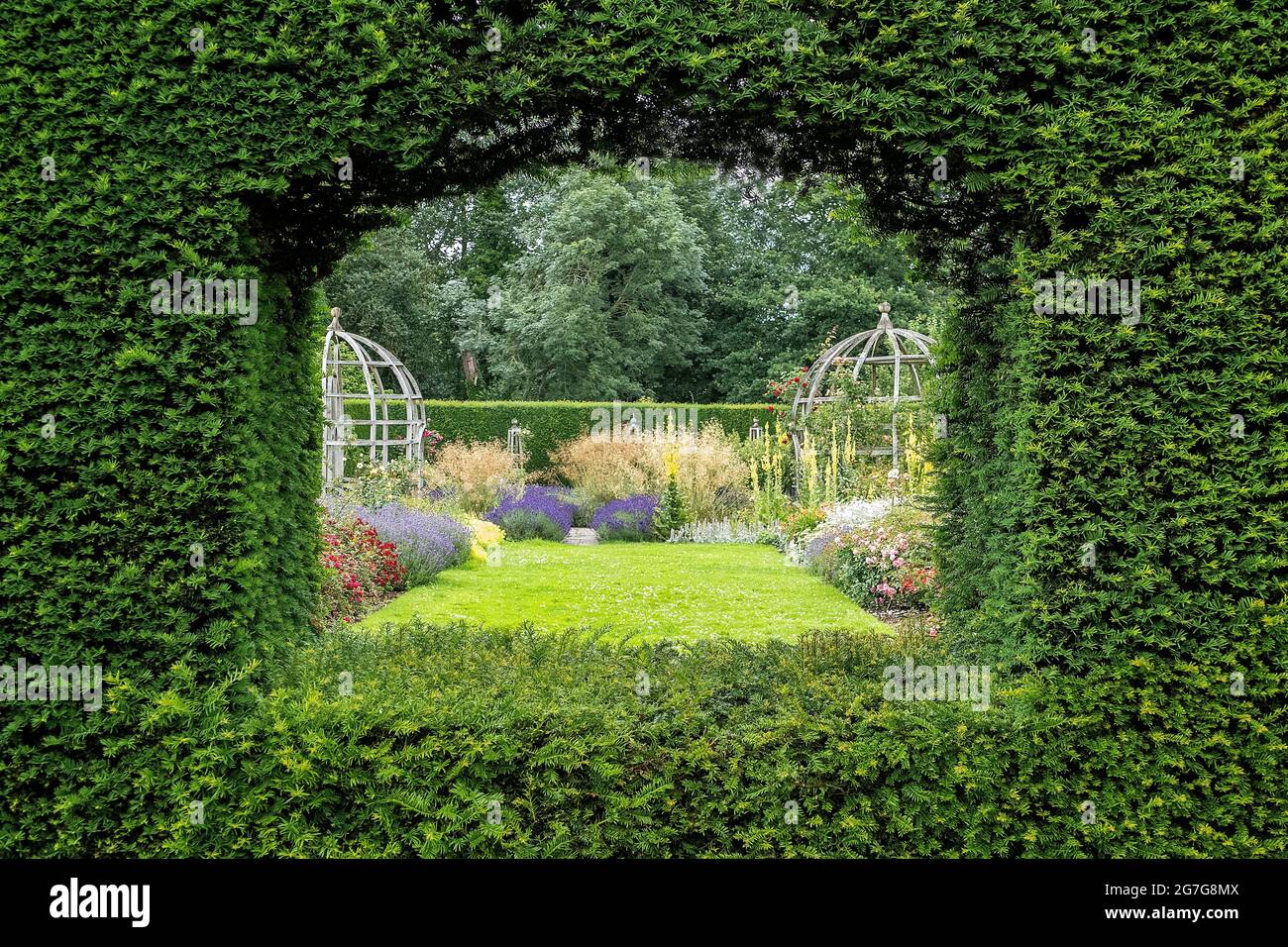 Vista del Mary Rose Garden presso il Waterperry Garden Wheatley Oxfordshire UK Foto Stock
