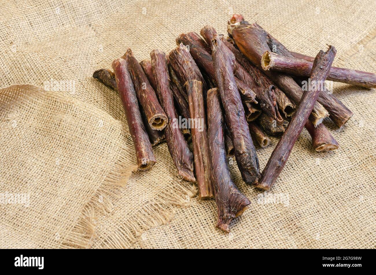 Gruppo di gustosi bastoncini da masticare per cani su tessuto a tela. Esofago di manzo essiccato. Trattamenti dentali per animali domestici. Messa a fuoco selettiva. Foto Stock