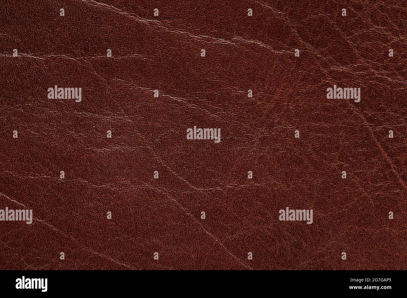 Texture di sfondo marrone macro vista ravvicinata Foto Stock