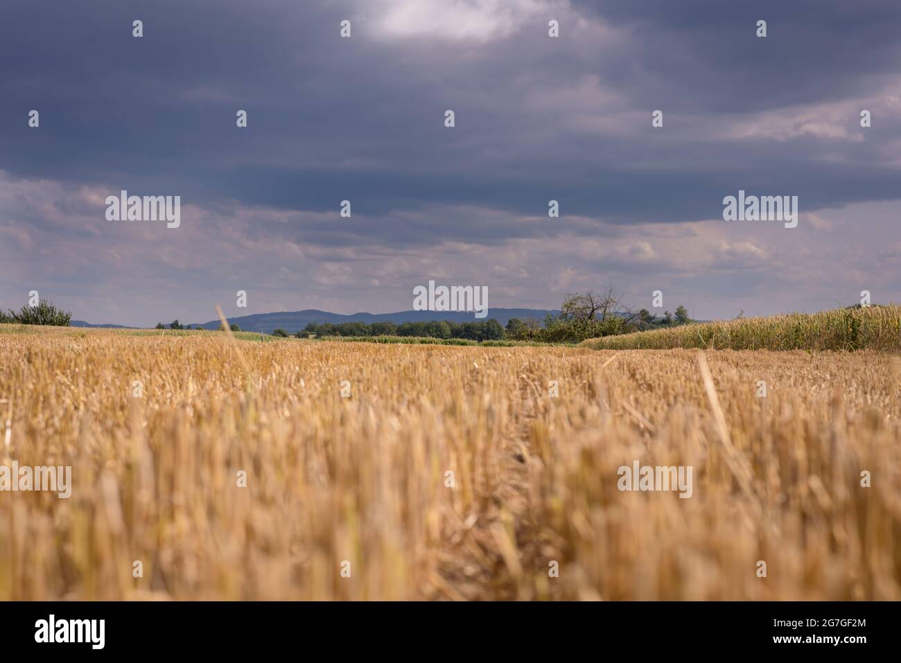 Tempesta su un campo stoppia Foto Stock