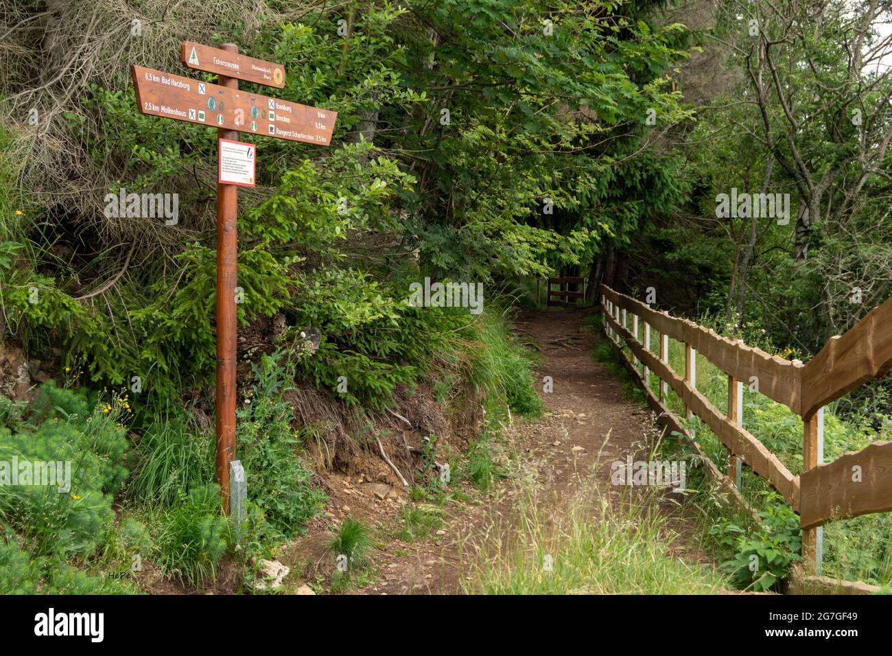 Wanderpfad a Richtung Brocken Foto Stock