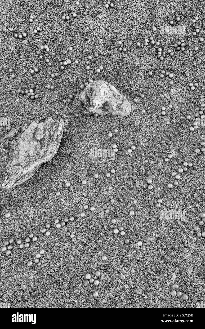 Resa in bianco e nero della ricerca della lingua in guancia per la vita su Marte & i mirtilli della NASA (a volte chiamati funghi marziani). Inutile dire, NON Marte. Foto Stock