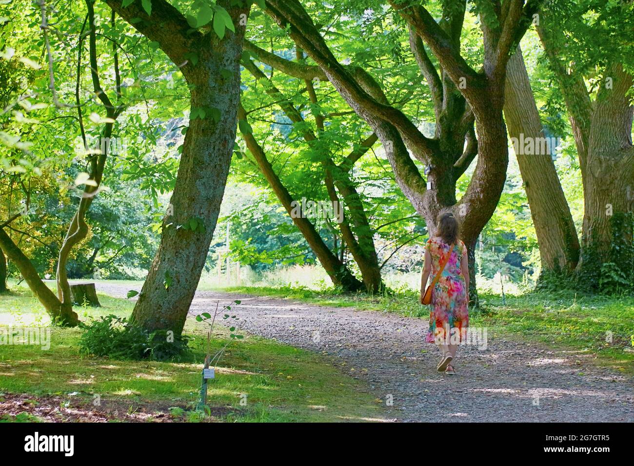 Donna in un vestito estivo colorato che cammina attraverso un parco , Germania Foto Stock