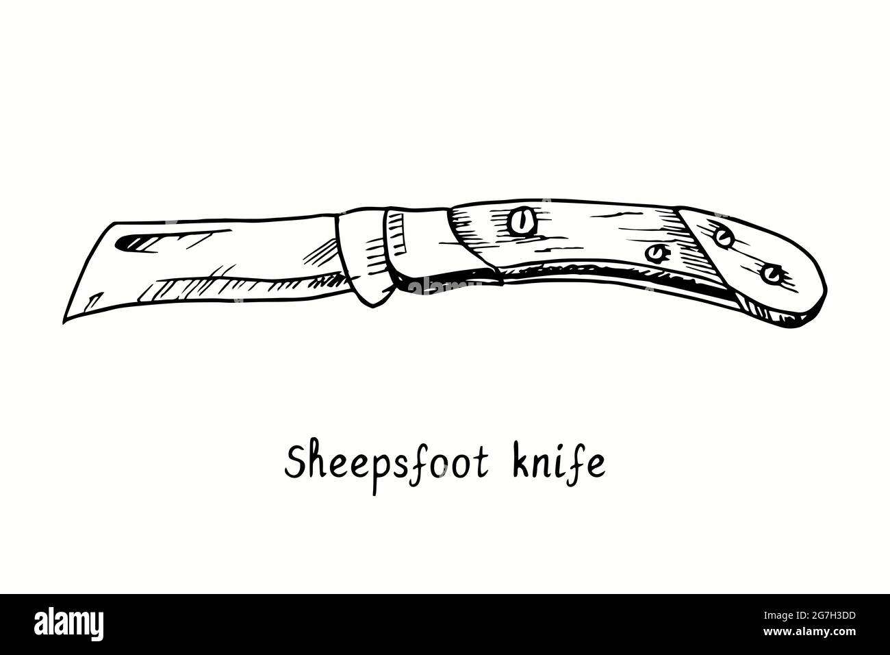 Tipo di coltello per piede di pecora. Immagine del disegno in bianco e nero con inchiostro Foto Stock