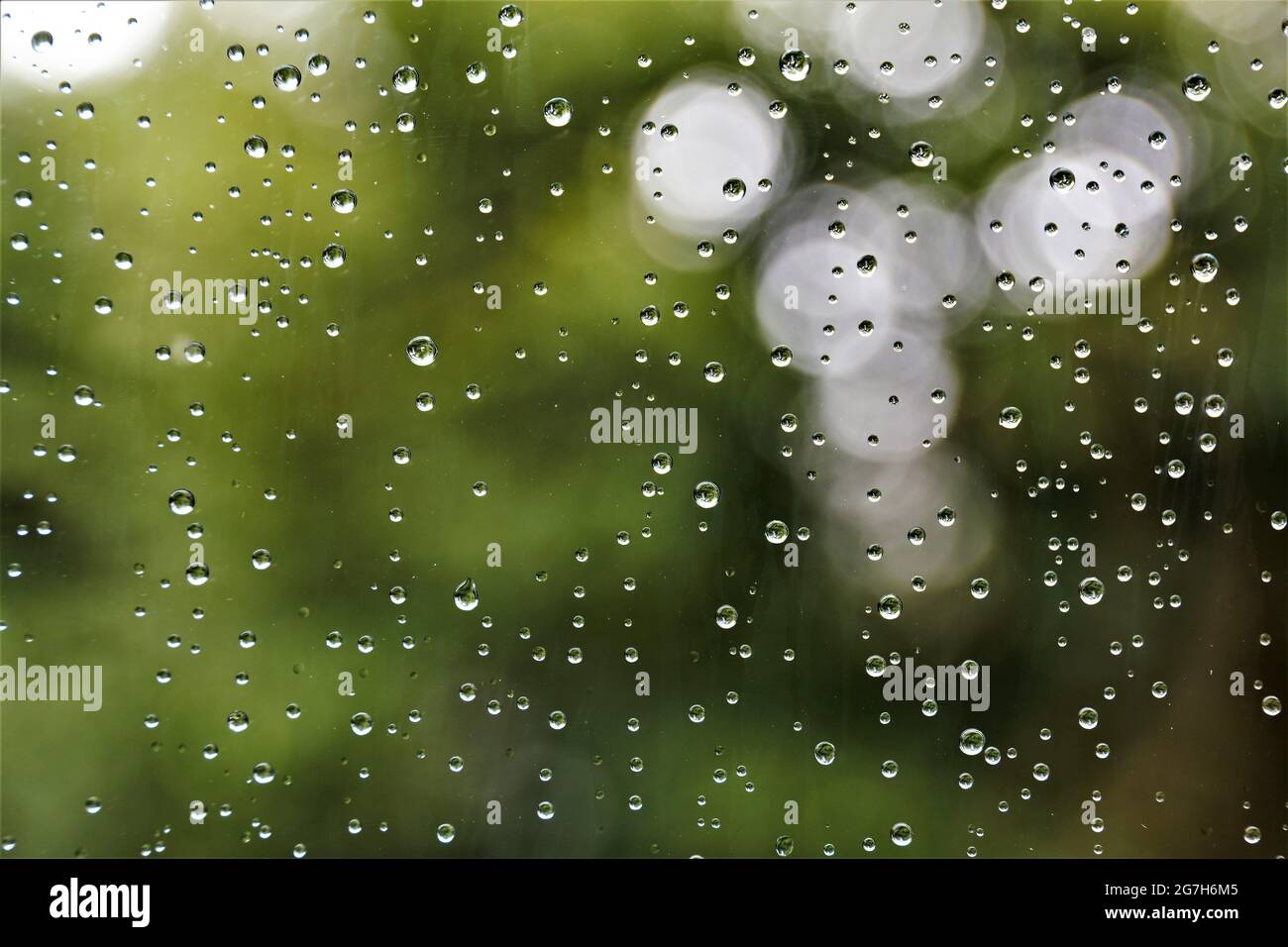 Gocce di acqua su sfondo verde Foto Stock