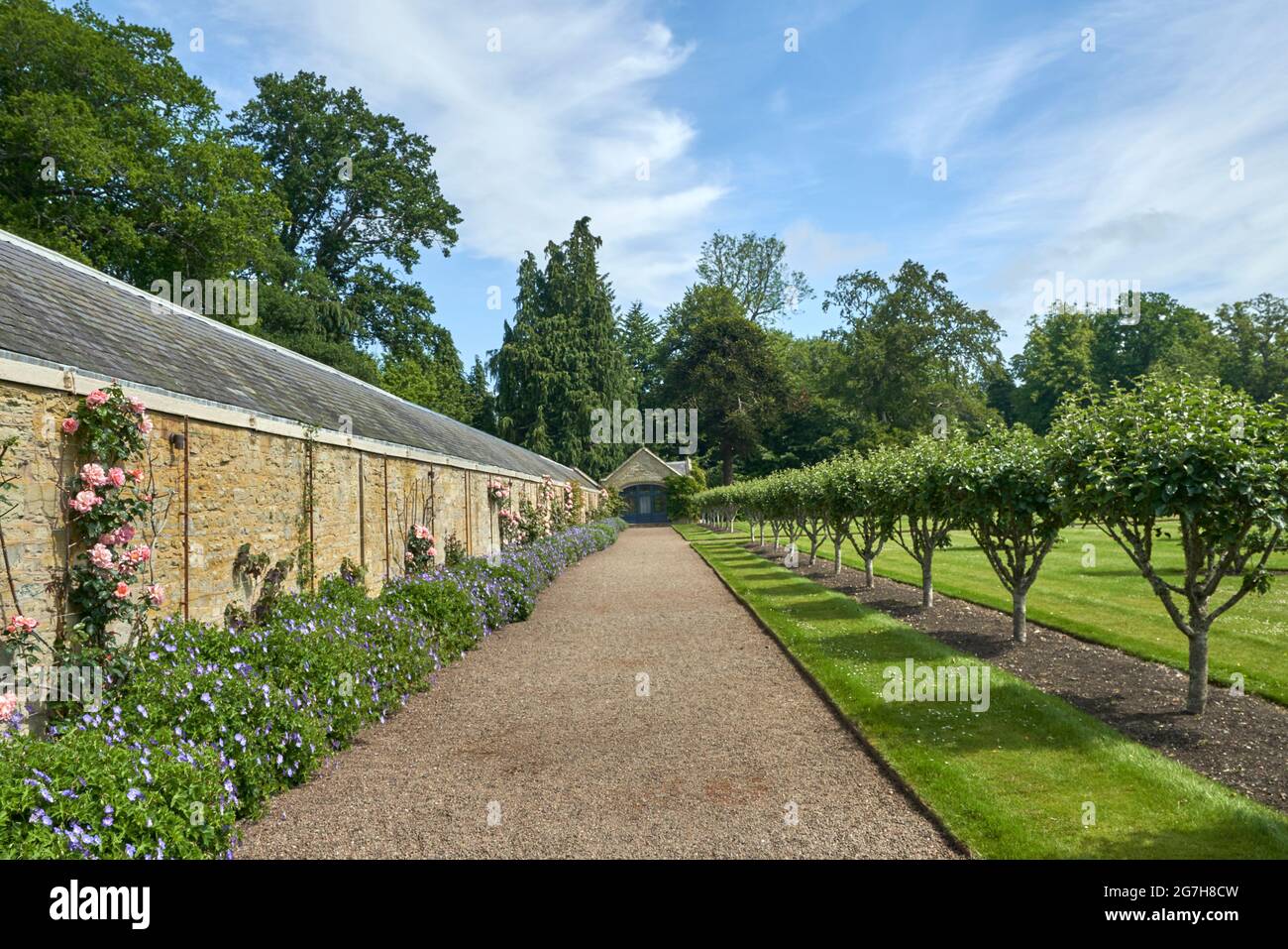 Il giardino Mellenium al castello di piani con parterre in stile francese con alberi di mela e pera patrimonio. Foto Stock