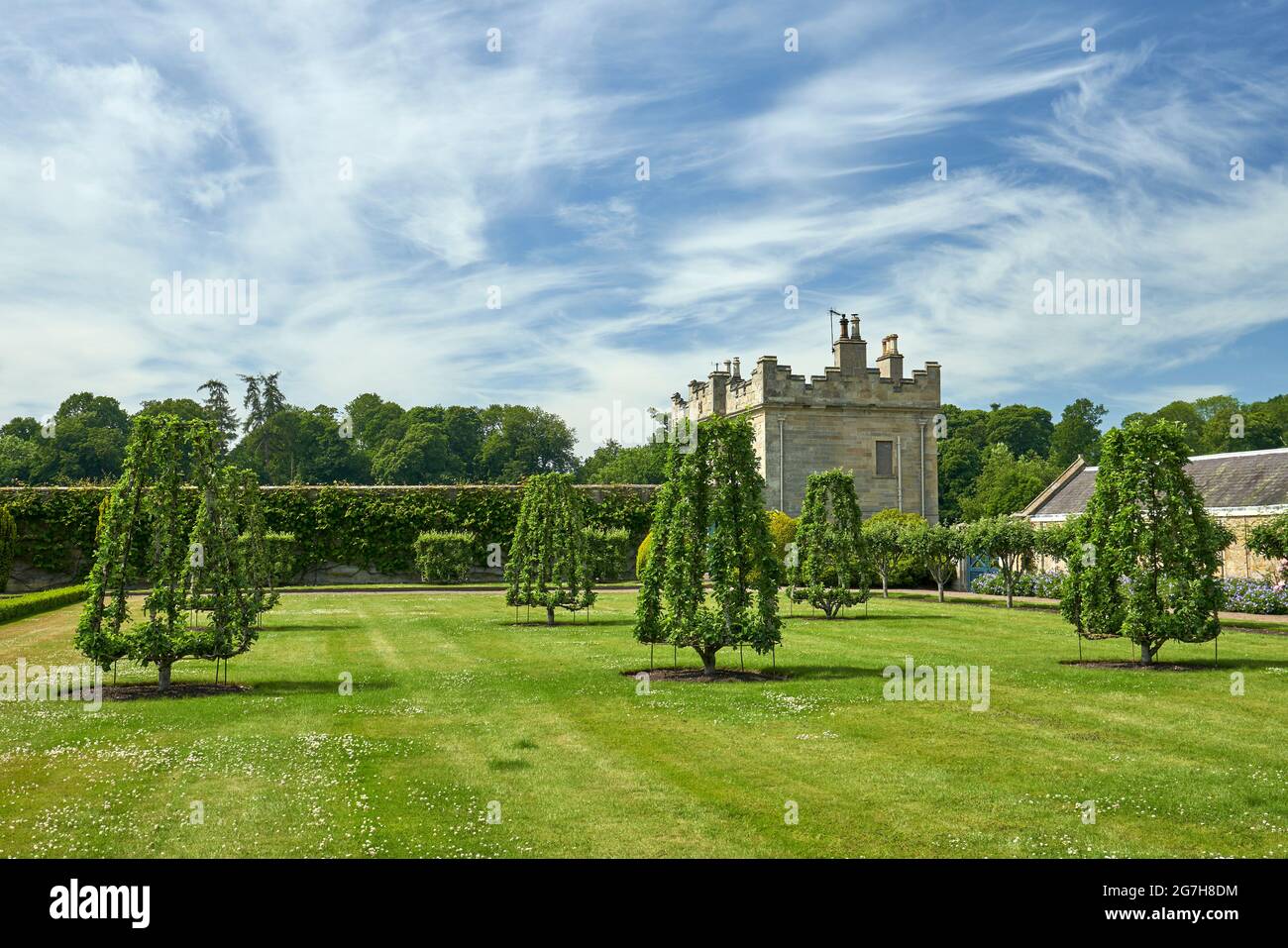 Il giardino Mellenium al castello di piani con parterre in stile francese con alberi di mela e pera patrimonio. Foto Stock