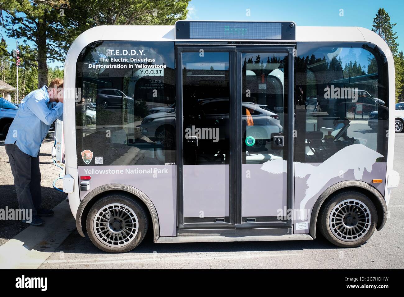 Autobus navetta TEDDY, elettrico (EV) della compagnia di bip, senza conducente, utilizzato per il trasporto turistico al Canyon Village nel Parco Nazionale di Yellowstone, Wyoming, Stati Uniti. Foto Stock