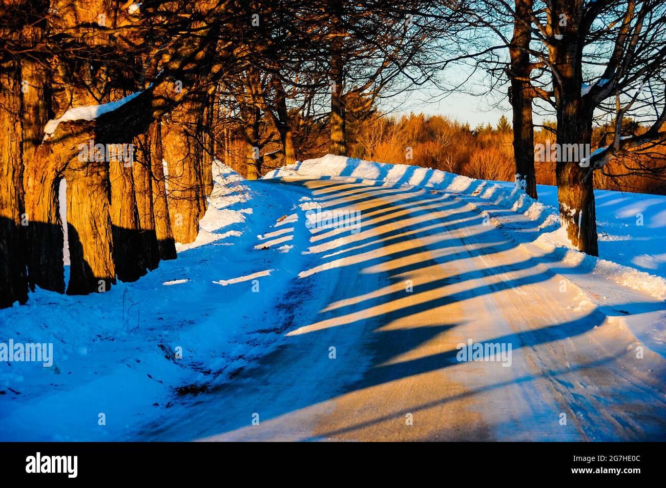 La bassa luce invernale proietta lunghe ombre a strisce su una strada rurale innevata in Vermont, Stati Uniti. Foto Stock