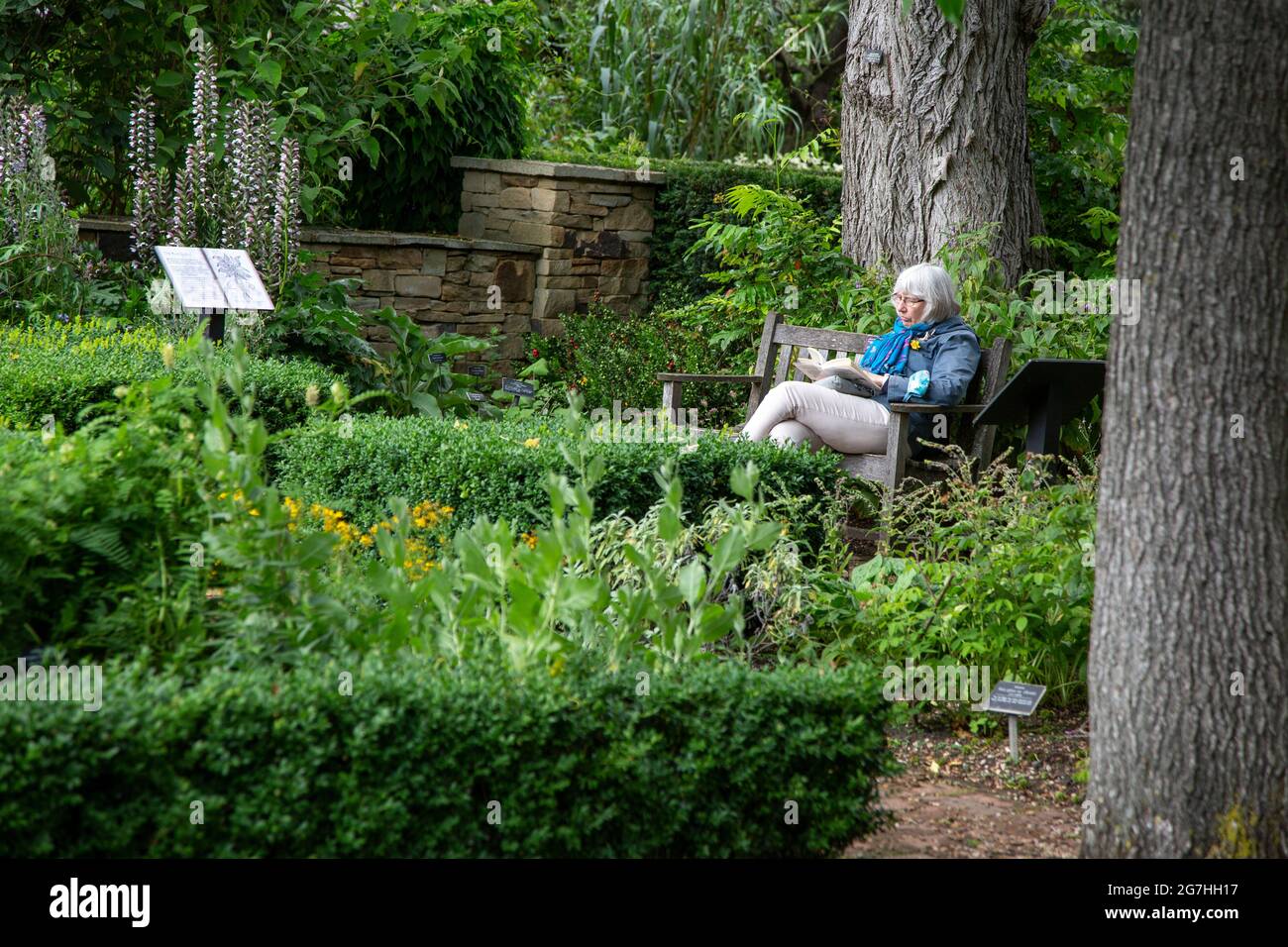 Una donna che legge nel Chelsea Physical Garden - un'oasi di calma nella vivace città di Londra, Regno Unito. Il Chelsea Physical Garden è uno dei più antichi Bo Foto Stock