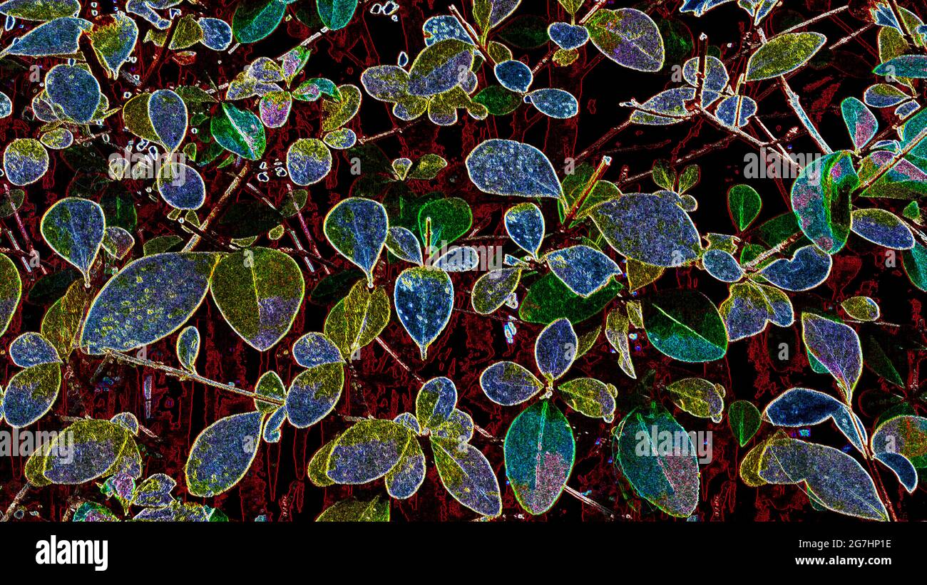 Modello luminoso di foglie multicolore Foto Stock