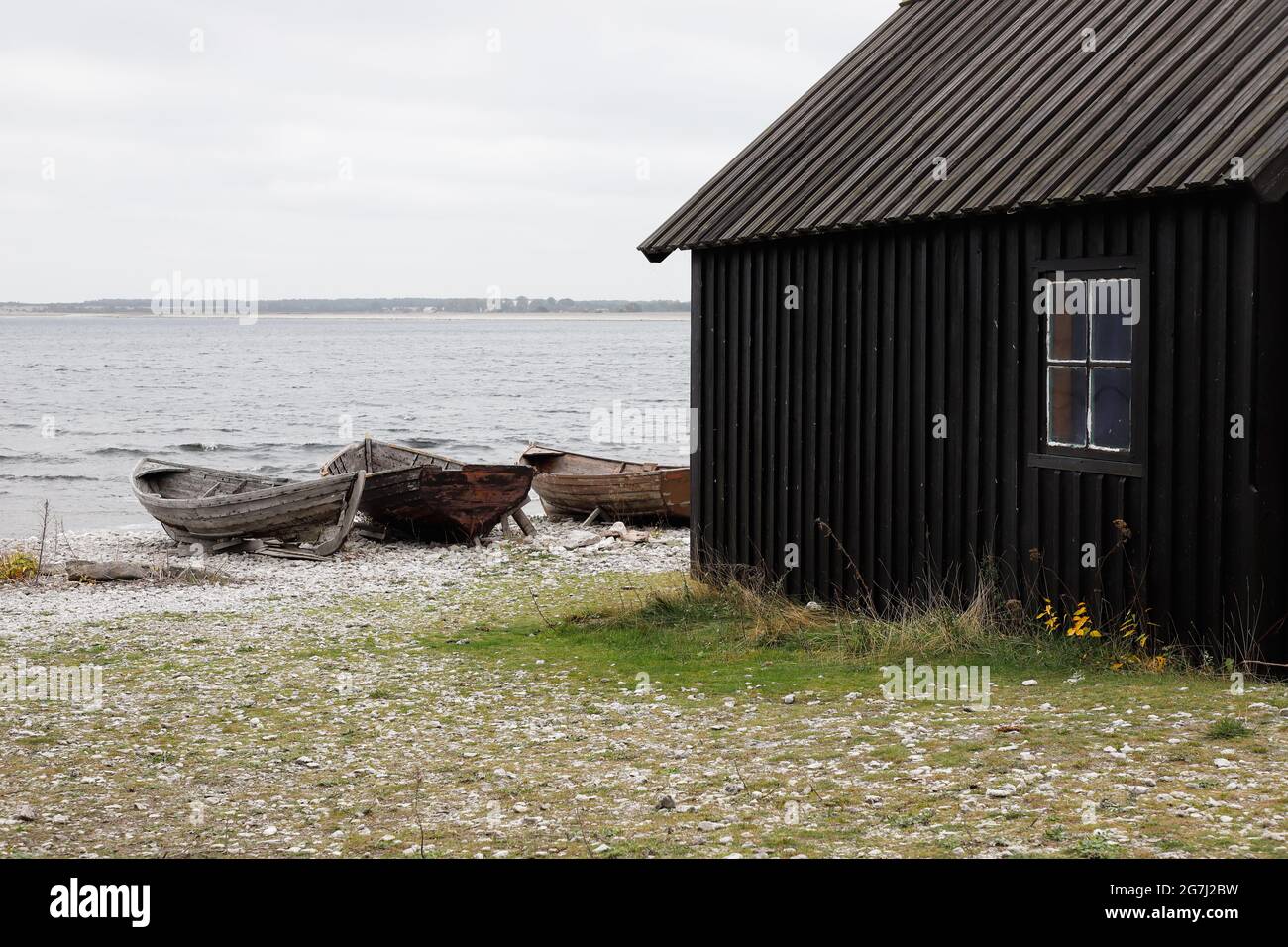 Vecchio capannone e barche presso la storica stazione di pesca Helgumannen situata sull'isola di Faro, nella provincia svedese di Gotland. Foto Stock